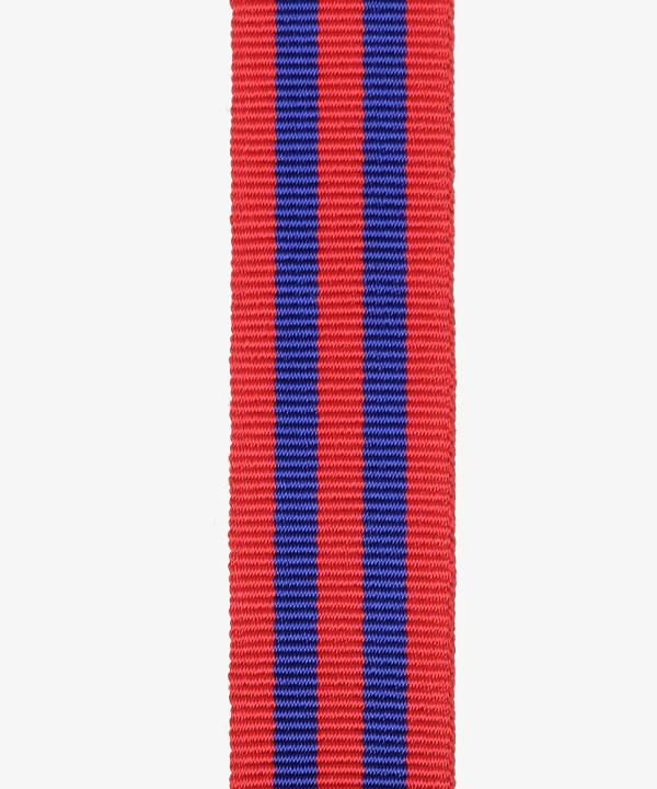 Brandenburg, Medal of the Volunteer Fire Brigade "for faithful service", 10 years, miniature (421)
